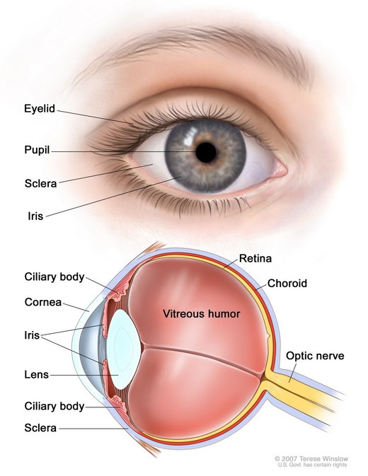 Eye for an eye masters thesis