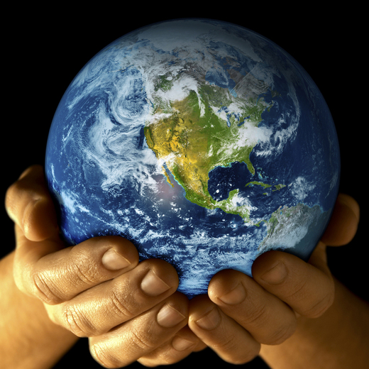 What Are You Doing To Help Save The Earth?