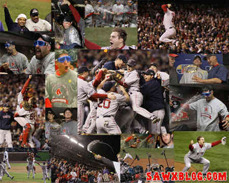 The 2007 World Series Champions Book Review and Ratings by Kids - Meera  Dolasia