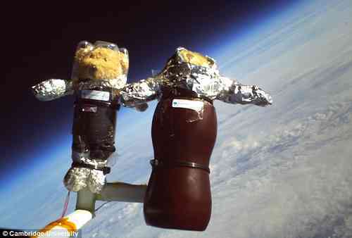 Bears In Space!