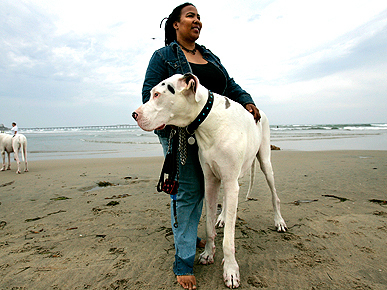 Video Of The Week - San Diego Great Dane Is The World's Tallest Dog