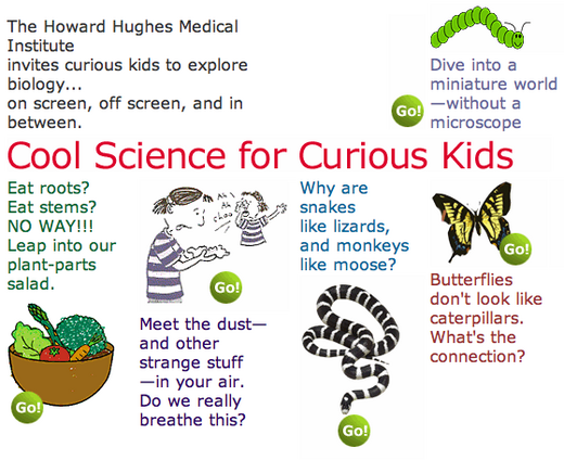 Cool Science For Curious Kids