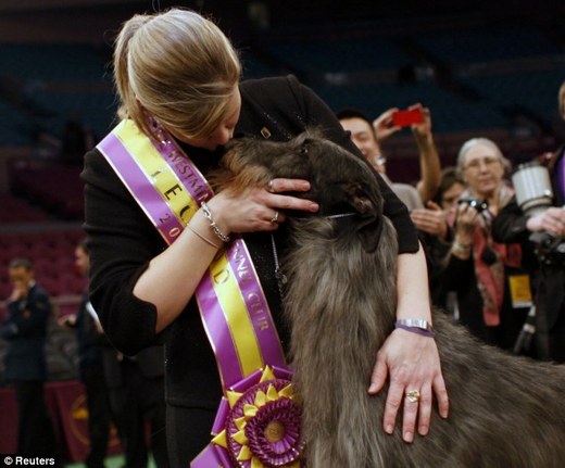 'Underdog' Takes Top Honors At Westminster Dog Show