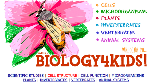 Biology 4 Kids