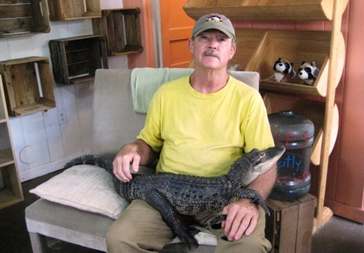 'Hug An Alligator' Is Now Open For Business