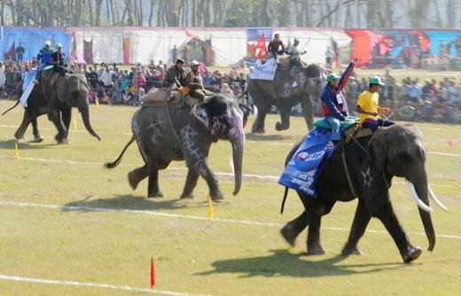 Nepal's Elephants Take Time Off From 'Work' To Frolic!