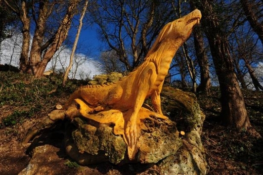 North Yorkshire's Mysterious Tree Sculptor Finally Revealed